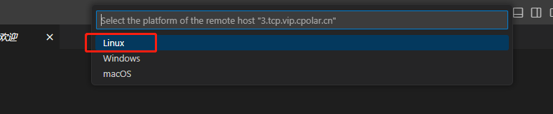 image-20230503213255717